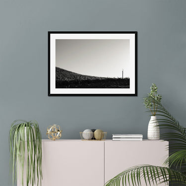 One Fan Framed Print
